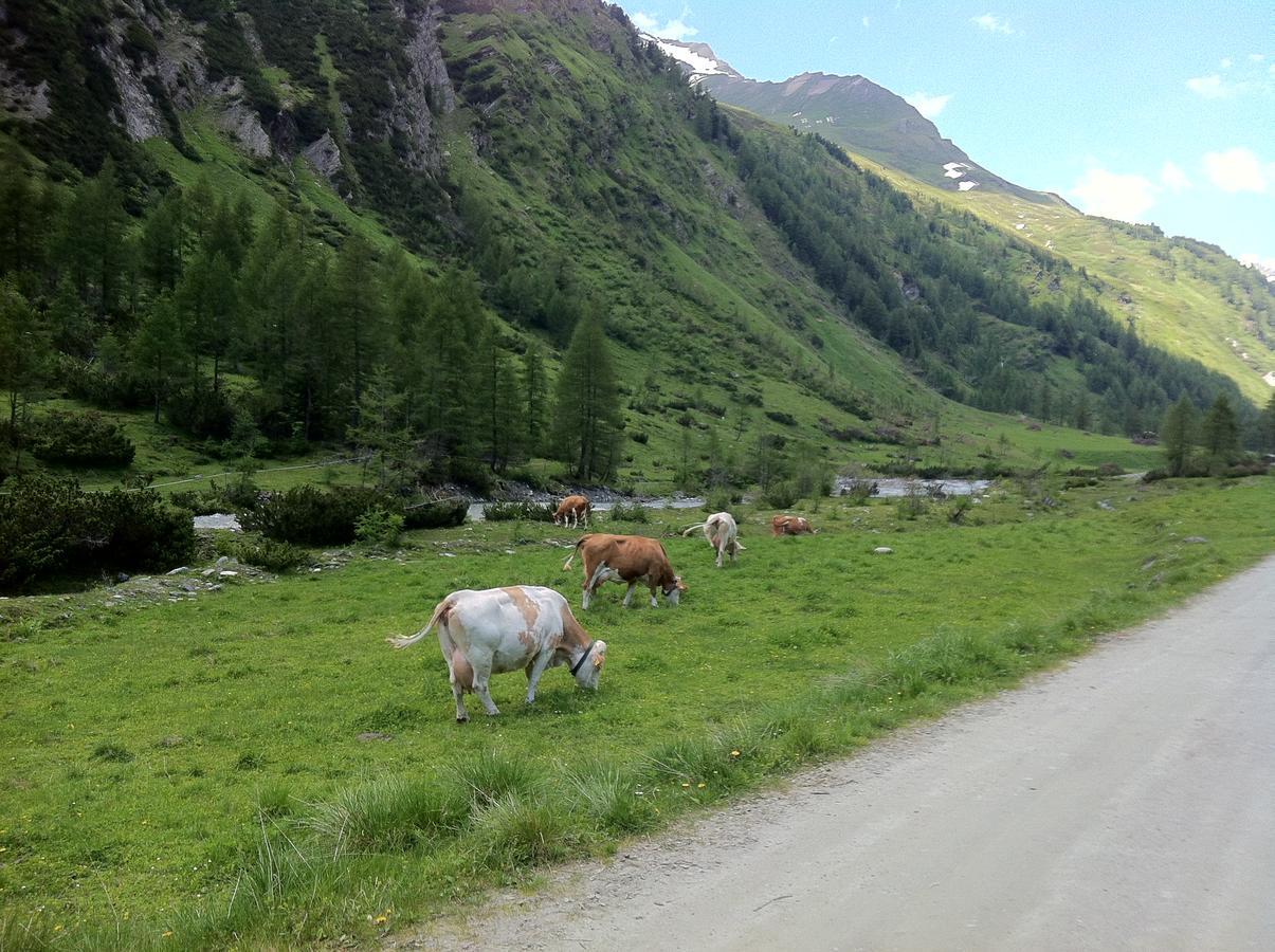 Scol Sporthotel Grossglockner คัลส์ อัม โกรสส์กล็อคเนอร์ ภายนอก รูปภาพ